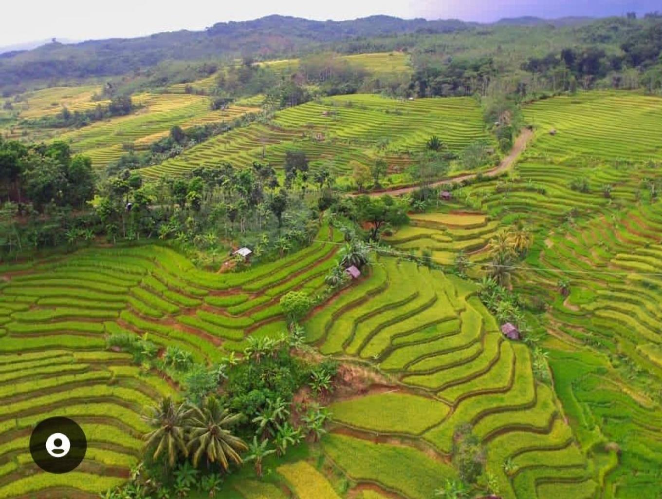 Megaterasering Sukamulya